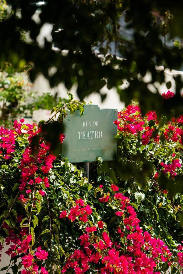 Seaside Elegance And Tranquility: Your Luxurious Porto Getaway Екстериор снимка